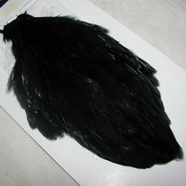 American hen cape ������ / black (�������� ������� �����)  Whiting